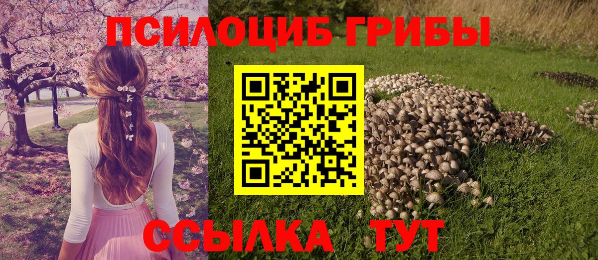 Псилоцибиновые грибы Magic Shrooms Майкоп