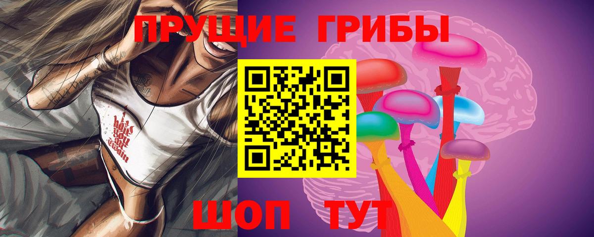 купить наркотик  Вход с VPN  Майкоп  Галлюциногенные грибы мицелий 